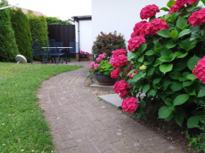 Fewo`s Birkenweg Ostseebad Rerik Rerik